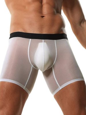Mens Mesh See Through Bulge Pouch Underwear Boxer Shorts 